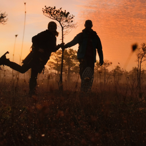 Hiking with bog or snowshoes in the Ķemeri bog