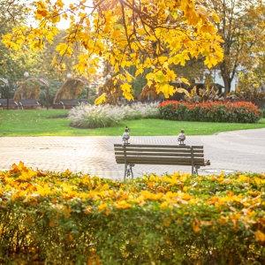 Jūrmalas baltā kaija