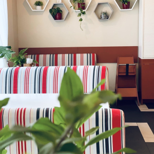 Cafe "ALBA"