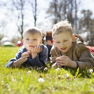 Melužų parkas ir estrada