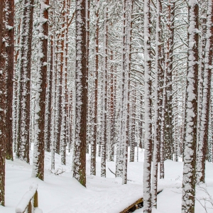 Ragakāpa Nature Park