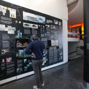 Mākslas stacija "Dubulti"