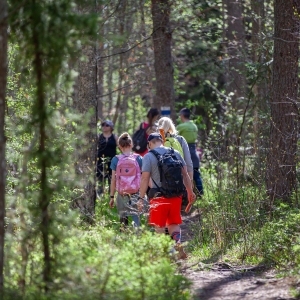 Pārgājienu maršruts "Mežtaka"
