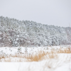 Ragakāpa Nature Park