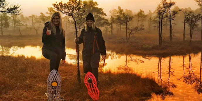 Hiking with bog or snowshoes in the Ķemeri bog