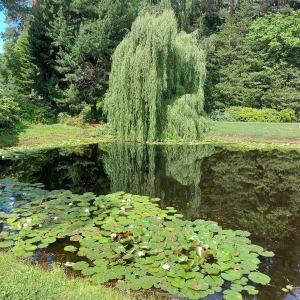 Bulduri dendroloogiapark