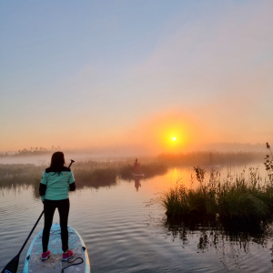 Sunrise bog SUP or boat trip and breakfast