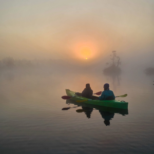 Adventure in the Ķemeri bog lake with a SUP board or kayak