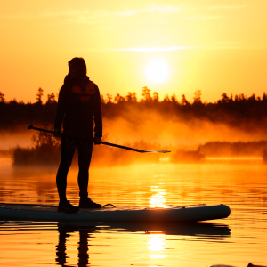 Adventure in the Ķemeri bog lake with a SUP board or kayak