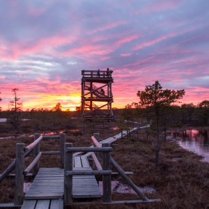 Lielā Ķemeru tīreļa laipa