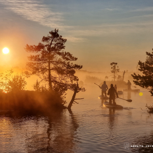 Adventure in the Ķemeri bog lake with a SUP board or kayak