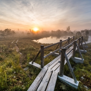 Lielā Ķemeru tīreļa laipa