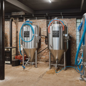 Alus darīšanas apvienība Prusaks