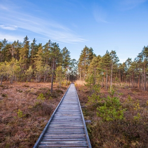 Rohelise luite marsruut