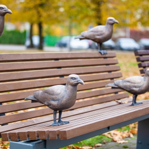 Jūrmalas baltā kaija