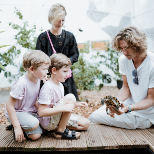 Jūrmalas tauriņu māja