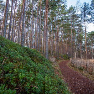 Rohelise luite marsruut