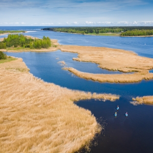Lielupės žiočių pievų gamtos draustinis