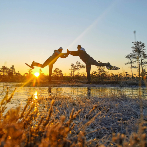 Hiking with bog or snowshoes in the Ķemeri bog