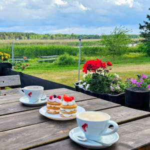 Suvekohvik | Seko Saulei