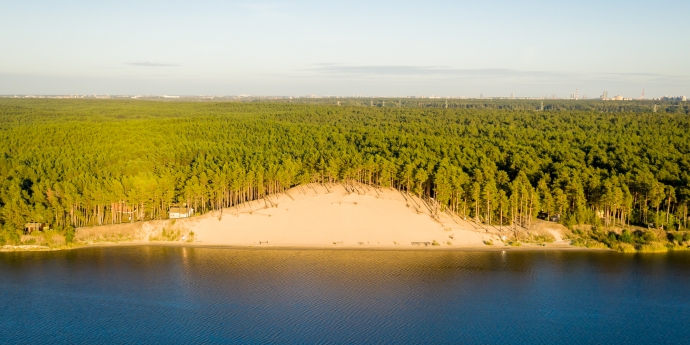 White Dune