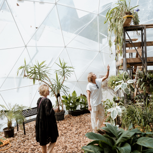 Jūrmalas tauriņu māja