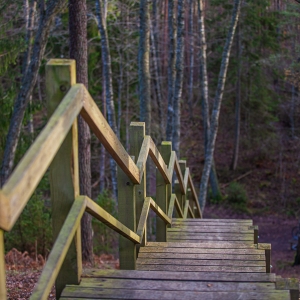 Rohelise luite marsruut