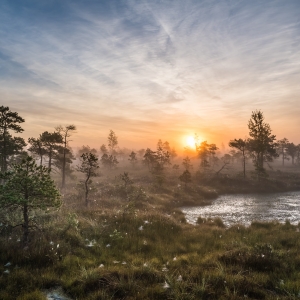 Lielā Ķemeru tīreļa laipa