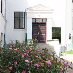 E.Birznieka-Upīša 1. pamatskola (pagalmā)