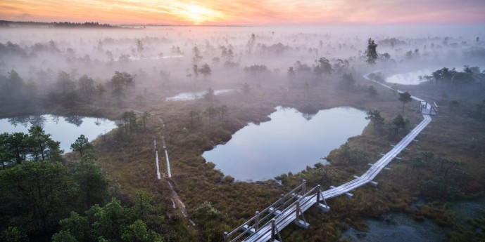 Great Ķemeri Bog Boardwalk