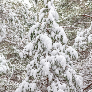 Ragakāpa Nature Park