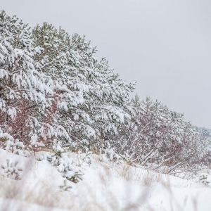 Ragakāpa Nature Park