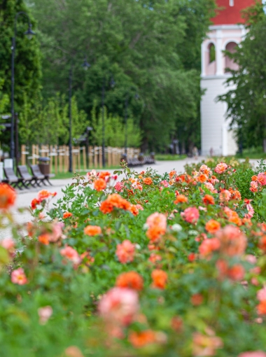 Ķemeru kūrorta parks