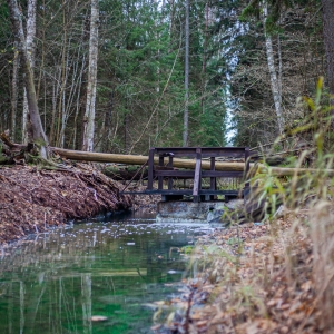 Lūžņu grāvja sēravota taka