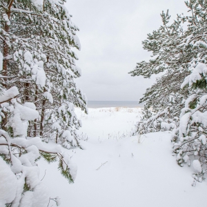 Ragakāpa Nature Park