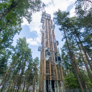 Dzintaru mežaparka skatu tornis