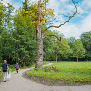 Ķemeri metsapark