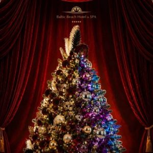 Offer for Company Christmas Celebrations | Baltic Beach Hotel & SPA