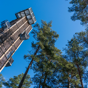 Dzintaru mežaparka skatu tornis