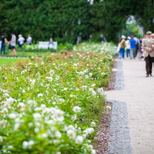 Ķemeru kūrorta parks