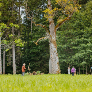 Ķemeri metsapark