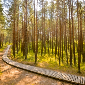 Ragakāpa Nature Park