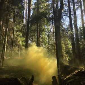 Išgyvenimo nuotykių žaidimas „Kemeri“ pelkėje