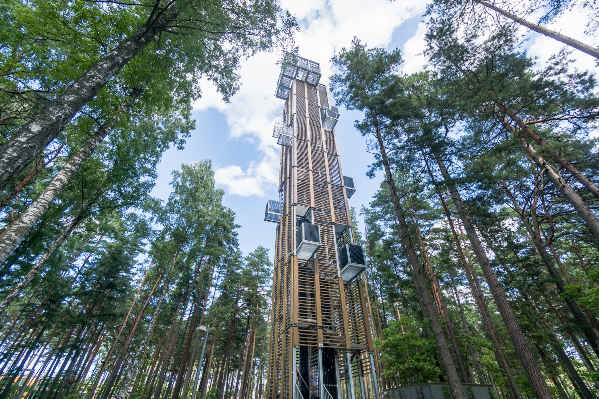 Смотровая башня Лесопарка Дзинтари