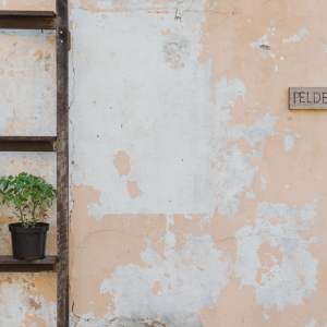 Alus darīšanas apvienība Prusaks