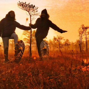 Hiking with bog or snowshoes in the Ķemeri bog