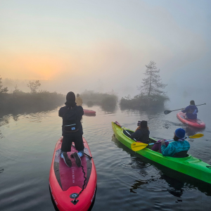 Adventure in the Ķemeri bog lake with a SUP board or kayak