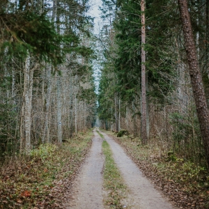 Lūžņu grāvja sēravota taka