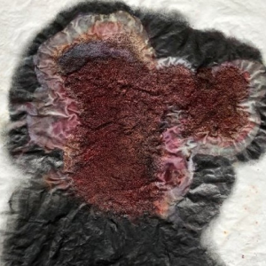 Tikšanās ar mākslinieku Juri Petraškeviču un kuratori Robertu Atrasti | Jūrmalas muzejs