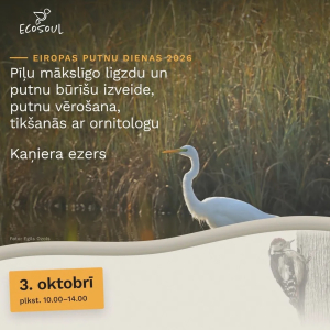 Pīļu ligzdu būvēšanas darbnīca | Lapmežciems
